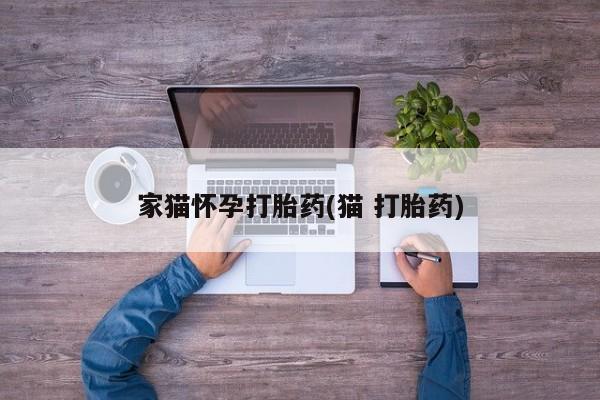 米非米索在线购买家猫怀孕打胎药(猫 打胎药)